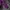 Casual Sweatshirt Pria purple photo 5