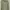Greenc Linen Shirt  photo 1