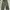 Uknown Brand Cargopants Green Military photo 1