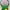 Longchamp Minimalist Hobo Bag Wanita Green