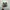 Nike Sportswear Sneakers Pria green photo 6