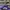 ADIDAS CITY SERIES BIRMINGHAM PURPLE TRAINERS , ADIDAS BIRMI photo 3