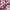 Nike Air Jordan Gorpcore Indie Sneakers Wanita white pink photo 2