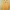 Baju dress anak perempuan  photo 1