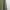 Japanese brand Minimalist Casual Cardigan Wanita green photo 5