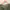 Japanese brand Minimalist Casual Cardigan Wanita green photo 4
