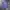 Grooverhyme Casual Sweatshirt Pria Purple