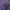 Grooverhyme Casual Sweatshirt Pria purple photo 5