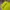 Grooverhyme Casual Sweatshirt Pria yellow photo 2