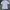 Burberry Vintage Luxury Polo shirt Pria white photo 1