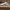 Sepatu Adidas Stan Smith  photo 2