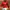 Manchester United 94-96 Original 