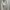 Centuries pleated skirt ecinos | rok wanita  photo 1
