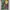 Y2k Hunter X Hunter Anime Tee With Shadow Graphic 2000s photo 2