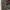 Converse Minimalist Casual Sneakers Pria burgundy red photo 6