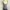 Le Coq Sportif Tanktop Bra Sport photo 5