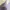Le Coq Sportif Tanktop Bra Sport photo 3