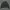 Crewneck LMC Second