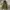 IF SIX WAS NINE Avant Garde Vintage Puffer jacket Pria green photo 3