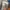 Jaket Anak Spao Kids Hoodie Warna Biru Krem Coklat Stylish photo 6