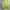 Jaket Hiking Columbia Pria Warna Hijau Size 100 photo 1