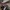 NIKE AIR JORDAN TRAVIS SCOTT photo 4