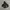Moncler Usa Puffer Jacket Made in Romania photo 3