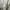 HOODIE BOXY BESIC GREY  photo 5
