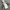 Nike Windrunner Hooded Windbreaker Jacket photo 2