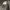 The North Face Sportswear Casual Bag Pria white black gray photo 6