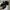 Heels By Stradivarius