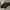 Heels by Stradivarius photo 4