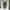 DRESS TURTLENECK LUCU photo 1