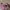 Adidas Sportswear Sneakers Kids pink photo 3