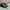 Converse ctas hi black white photo 1