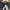 Guess photo 2