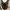 Ruched Ribbed Knit Top photo 3