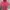 Short Sleeve Turtleneck Sweater photo 6
