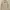Leatherwear Jacket, sherpa by TULLE size 55 photo 1