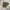 Jacket windbreaker vintage camo hysterics mini cakep photo 1