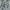 Shortpants Jorts Denim SORRIDERE Celana Pendek Jeans photo 3