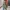 Casual Jacket Vintage Parka Anak Polo Ralph Lauren Army Kere