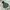 Casual jacket vintage parka anak polo ralph lauren army kere photo 3