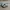 Adidas Gorpcore Indie Sneakers Wanita white black photo 1