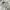 Jacket wibter tebal revesible bolak balik anak moimoln lucu photo 7