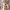Jacket wibter tebal revesible bolak balik anak moimoln lucu photo 1
