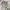 Jacket wibter tebal revesible bolak balik anak moimoln lucu photo 3