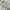 Jacket wibter tebal revesible bolak balik anak moimoln lucu photo 8