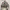 calla the label cropped jacket - allsize  photo 1
