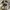 Adidas Y-3 Kasabaru High Top Sneakers in White Nylon photo 2